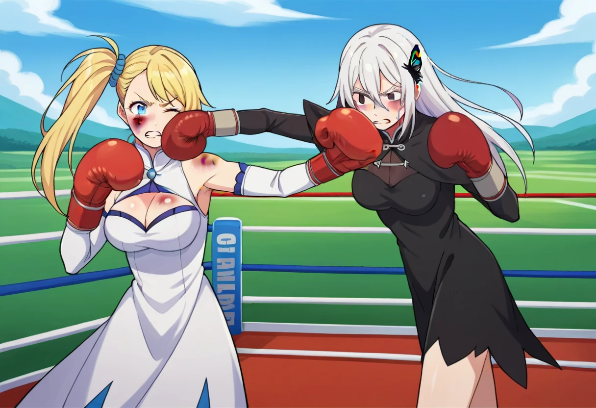 boxing gloves, red boxing gloves, <lora:girlsboxingmatchlorapony7:0.3>, gbmatch, cowboy shot, score_9, score_8_up, score_7_up, source_anime, 2girls, outdoors, landscape, punching, standing, BREAK
<lora:rezero-minerva-s2-ponyxl-lora-nochekaiser:0.4>, minerva, long hair, blue eyes, blonde hair, large breasts, hair ornament, side ponytail,
thighhighs, dress, white dress, clothing cutout, cleavage cutout, cleavage, high collar, detached sleeves,
bruised eye, bruise on face, one eye closed, clenched teeth, BREAK
<lora:rezero-echidna-s2-ponyxl-lora-nochekaiser:0.4>, echidna, colored eyelashes, white hair, hair between eyes, long hair, straight hair, black eyes, 
medium breasts, black capelet, black dress, butterfly hair ornament, capelet, dress, hair ornament, 
bruised eye, bruise on face, one eye closed, clenched teeth,