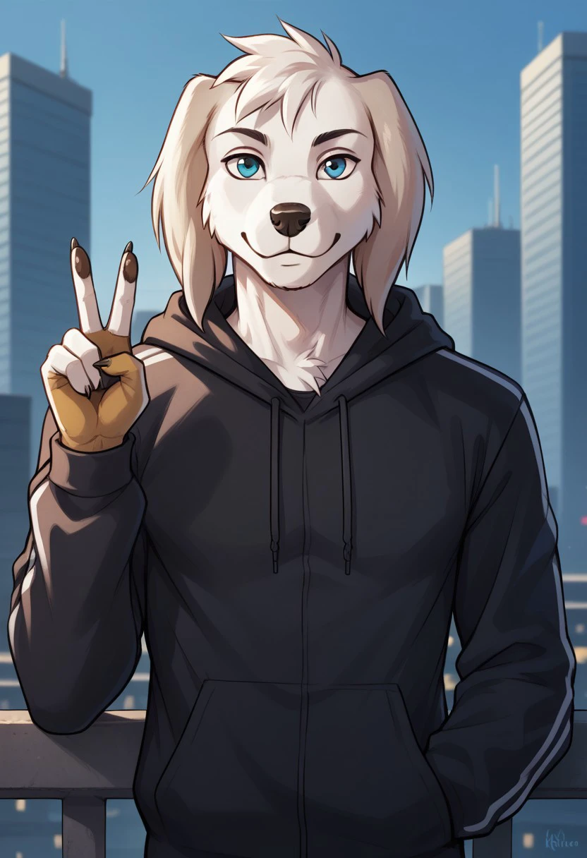 score_9, score_8_up, score_7_up, 1boy, siebastianpxl,solo, anthro dog, white body, blue eyes, male, BREAK, looks at the viewer, smiles, shows a peace sign, black hoodie, city background,