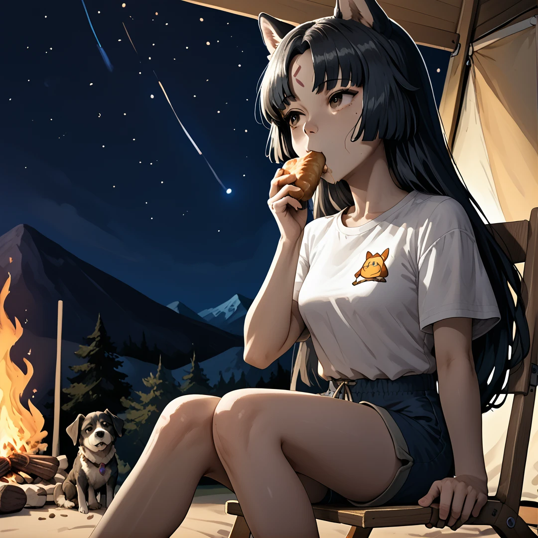 Masterpiece, high quality, score_9, score_8_up, score_7_up, 1girl, night, star \(sky\), camping, mountains, camping chair, shorts, puffy shirt, dog print, campfire, roasted marshmallow, eating, <lora:Arknights_Saga_PONY_XL:1> aksaga, long hair, black hair, dog ears, bangs, forehead mark, brown eyes, medium breasts, <lora:L3wdWaifu_Style:1>