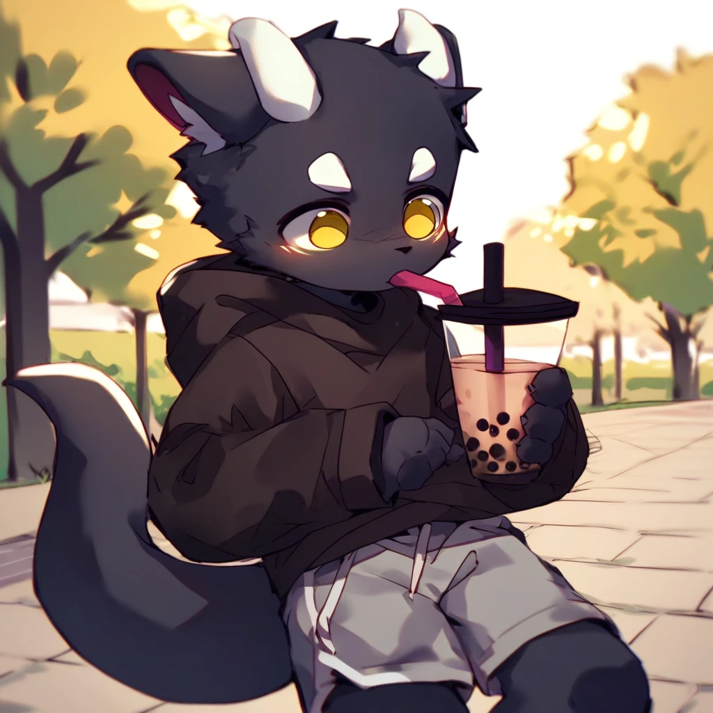 score_9_up, score_8_up, score_7_up, source_furry, mikus-ka_kuwu, black dragon, black body, white horns, yellow eyes, park, holding, bubble tea, black sweater, gray shorts, 1boy, solo