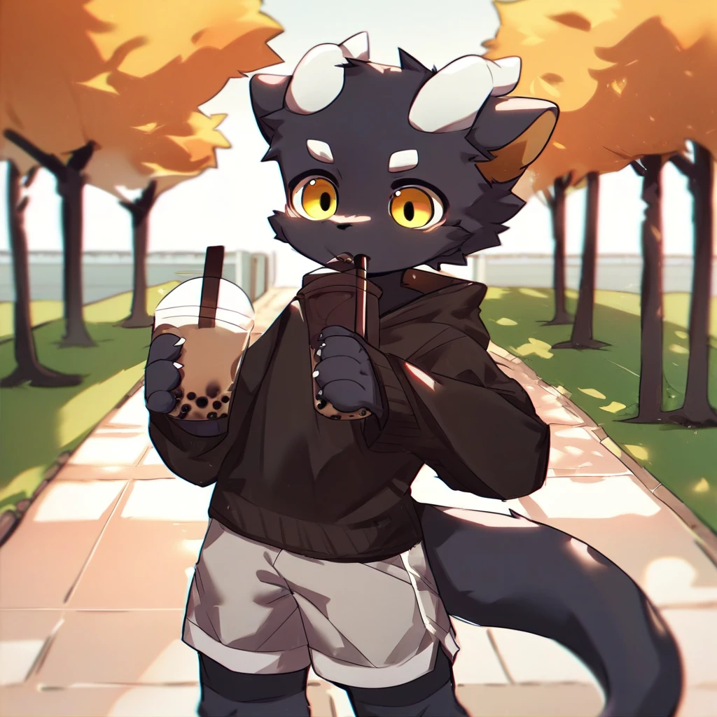 score_9_up, score_8_up, score_7_up, source_furry, mikus-ka_kuwu, black dragon, black body, white horns, yellow eyes, park, holding, bubble tea, black sweater, gray shorts, 1boy, solo