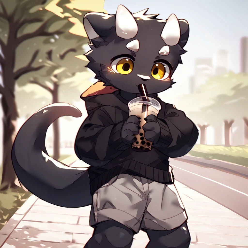 score_9_up, score_8_up, score_7_up, source_furry, mikus-ka_kuwu, black dragon, black body, white horns, yellow eyes, park, holding, bubble tea, black sweater, gray shorts, 1boy, solo