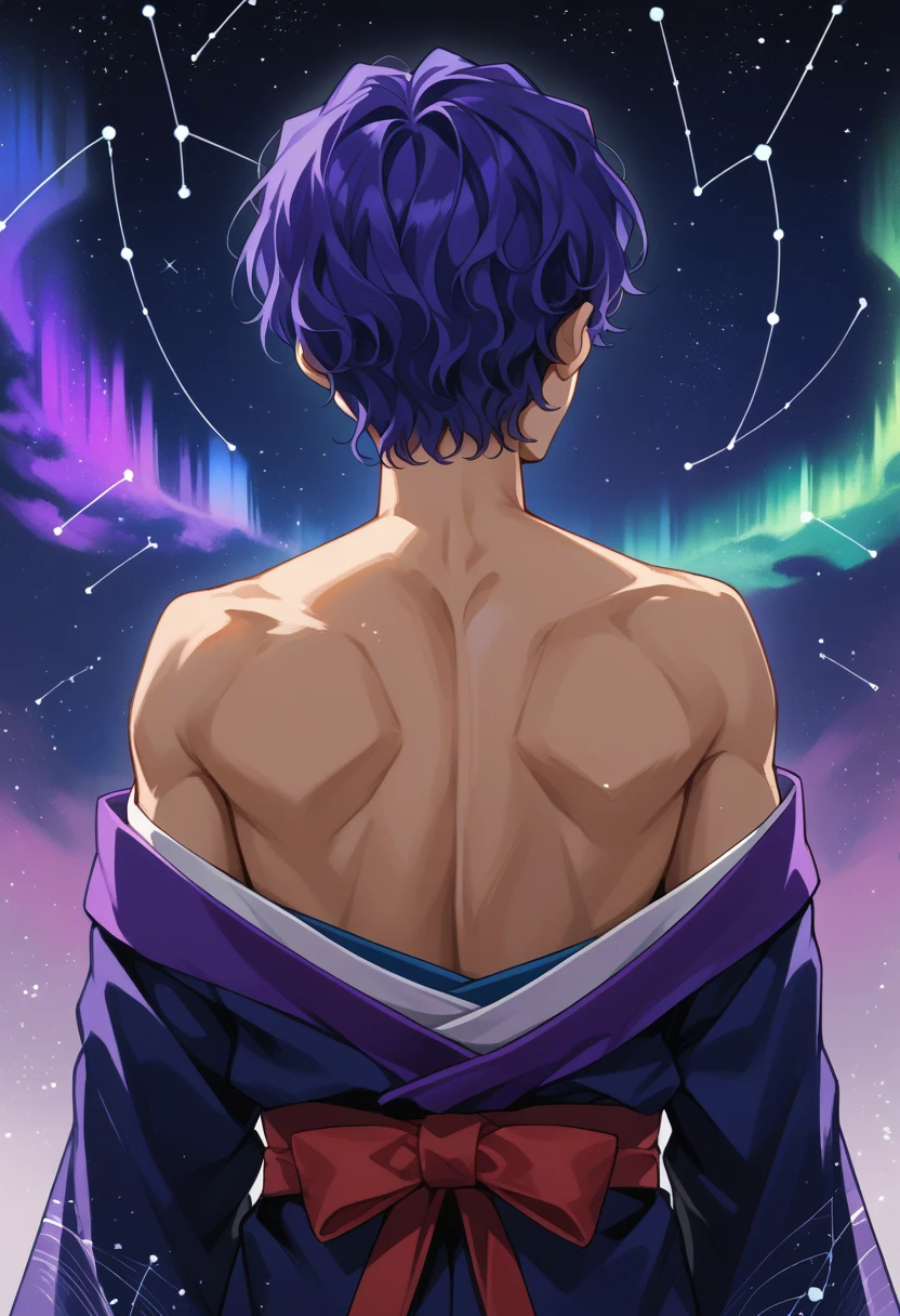 score_9, score_8_up, source_anime, 1boy, solo, ShinjiMatou, purple eyes, purple hair, wavy hair, short hair, parted bangs, aurora, back, bare back, bare shoulders, constellation, from behind, kimono, light particles, long sleeves, off shoulder, <lora:ChamMatouShinjiPonyXL:1>