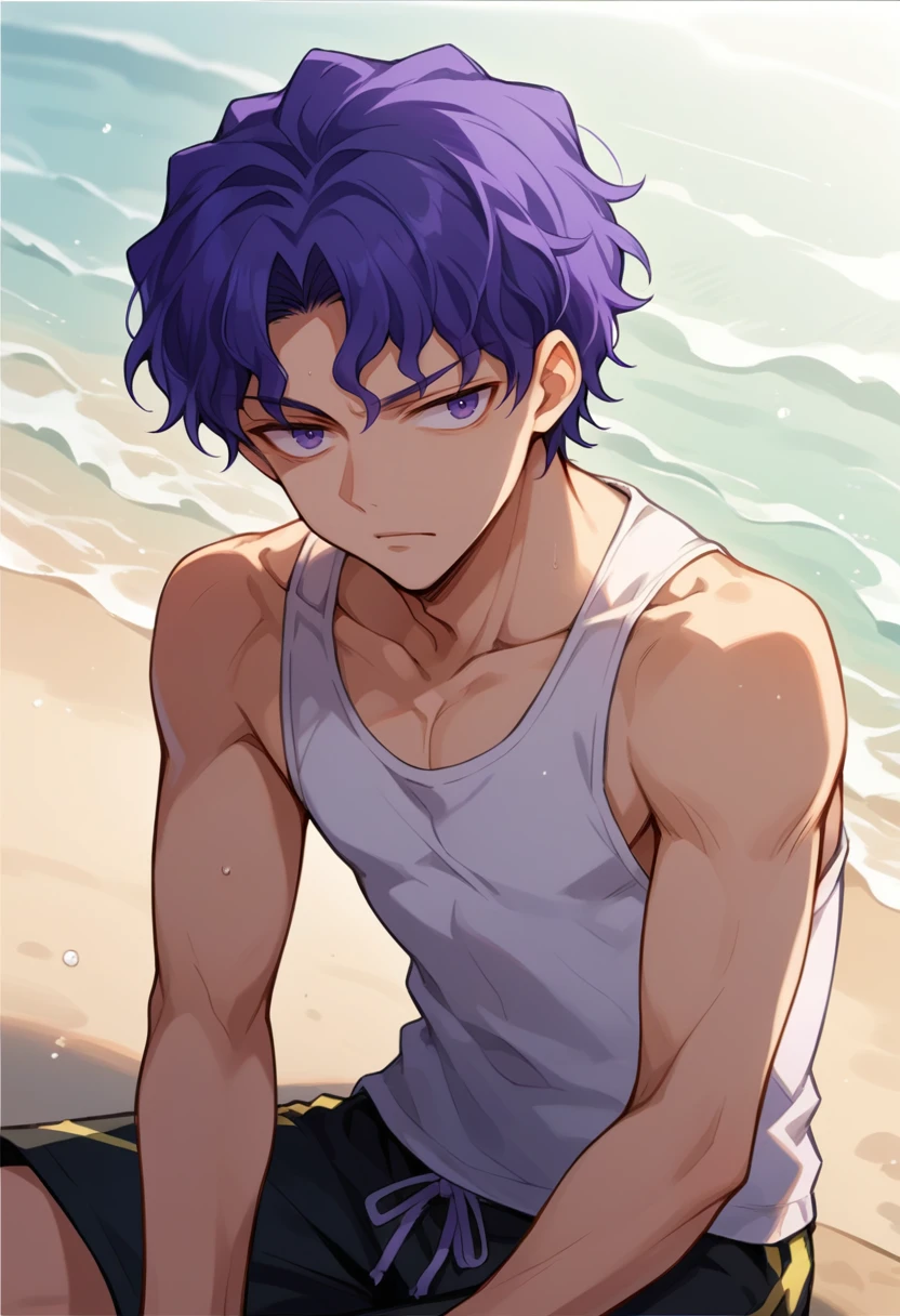 score_9, score_8_up, source_anime, 1boy, solo, ShinjiMatou, purple eyes, purple hair, wavy hair, short hair, parted bangs, outdoors, beach, sitting, swim trunks, tank top, <lora:ChamMatouShinjiPonyXL:1>