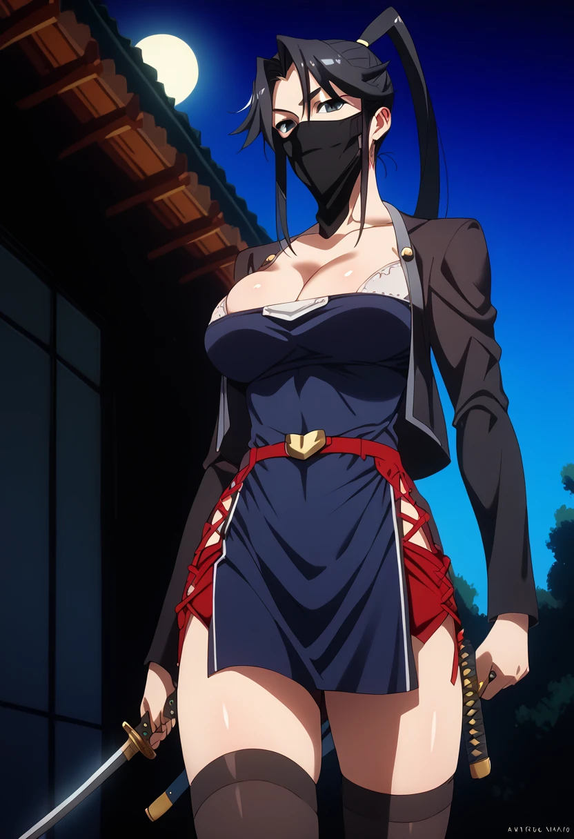 score_9, score_8_up, score_7_up, score_6_up, score_5_up, score_4_up, masterpiece, best quality, BREAK,
1girl, outdoors, night, <lora:Goryu_Triage_X:1> goryu, ponytail, mouth mask, cleavage, thighhighs, katana