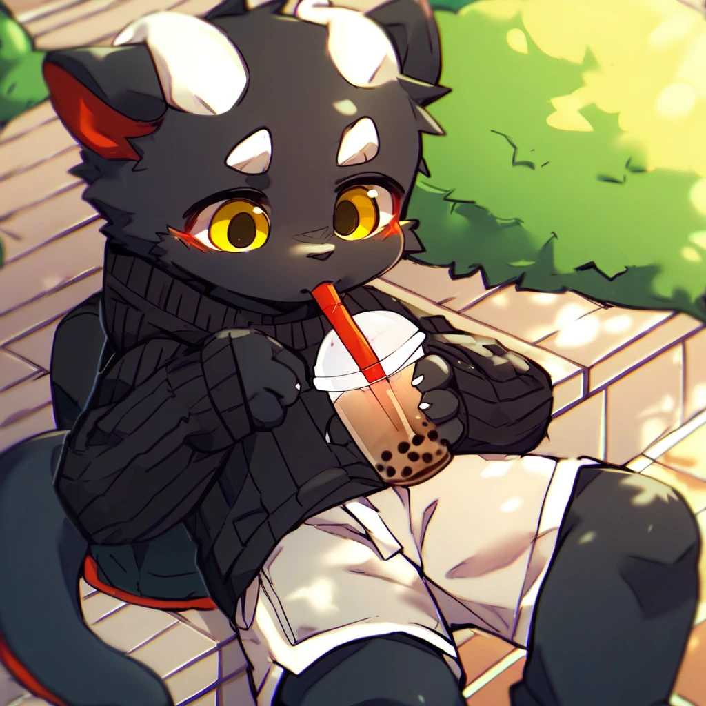 score_9_up, score_8_up, score_7_up, source_furry, mikus-ka_kuwu, black dragon, black body, white horns, yellow eyes, park, holding, bubble tea, black sweater, gray shorts, 1boy, solo