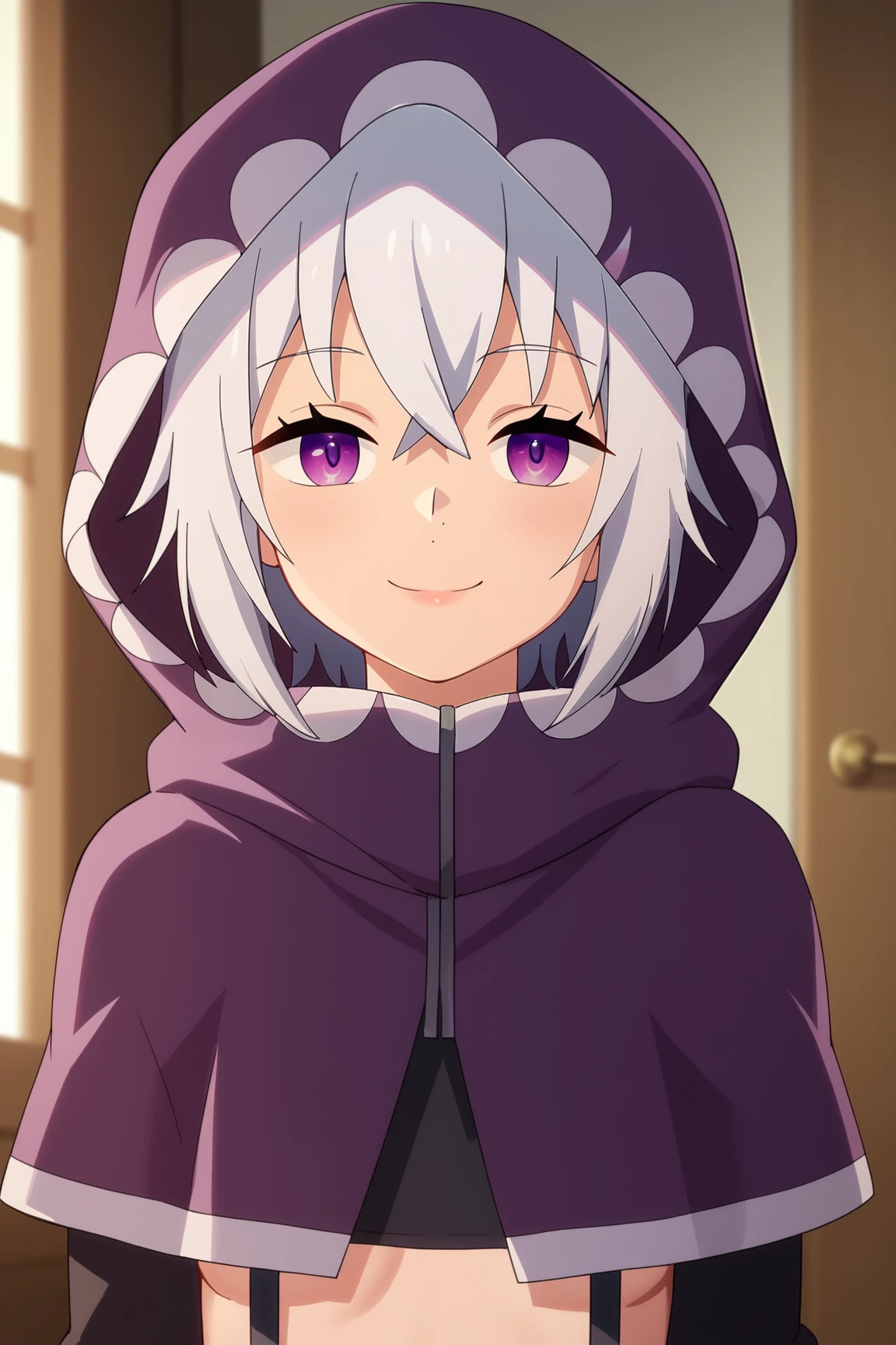 score_9, score_8_up, score_7_up, score_6_up, BREAK, TisseBHPXL, purple eyes, white hair, short hair, hair between eyes, small breasts, purple hood up, purple capelet, black crop top, long sleeves, suspenders, solo, front view, (portrait, upper body), solo focuc, seductive smile, looking at viewer, indoors <lora:TisseBHPXL:1>