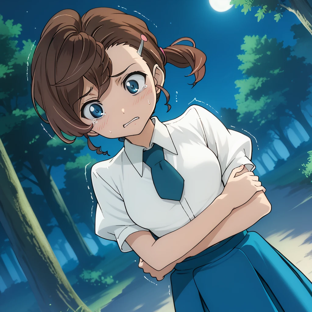 score_9, score_8_up, score_7_up, 1girl, solo, uncensored,  manainuyama, 1girl, solo, scared, turning head, hugging self, trembling,  dutch angle, white shirt, blue necktie, brown hair, blue eyes, blue skirt, outdoors, night, dark, forest,  <lora:ManaInuyamaXL_v1.0:1>