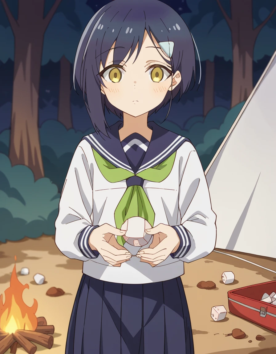 score_9, score_8_up, score_7_up, source_anime, <lora:chiharu-tsubameya-s1-ponyxl-lora-nochekaiser:1>, chiharu tsubameya, short hair, hair ornament, blue hair, yellow eyes, hairclip,, shirt, long sleeves, school uniform, serafuku, sailor collar, neckerchief, blue sailor collar, skirt, pleated skirt, blue skirt, green neckerchief,, camping, bonfire, tent, stargazing, marshmallows, forest clearing, night, , looking at viewer, undefined, solo,, cowboy shot, dutch angle