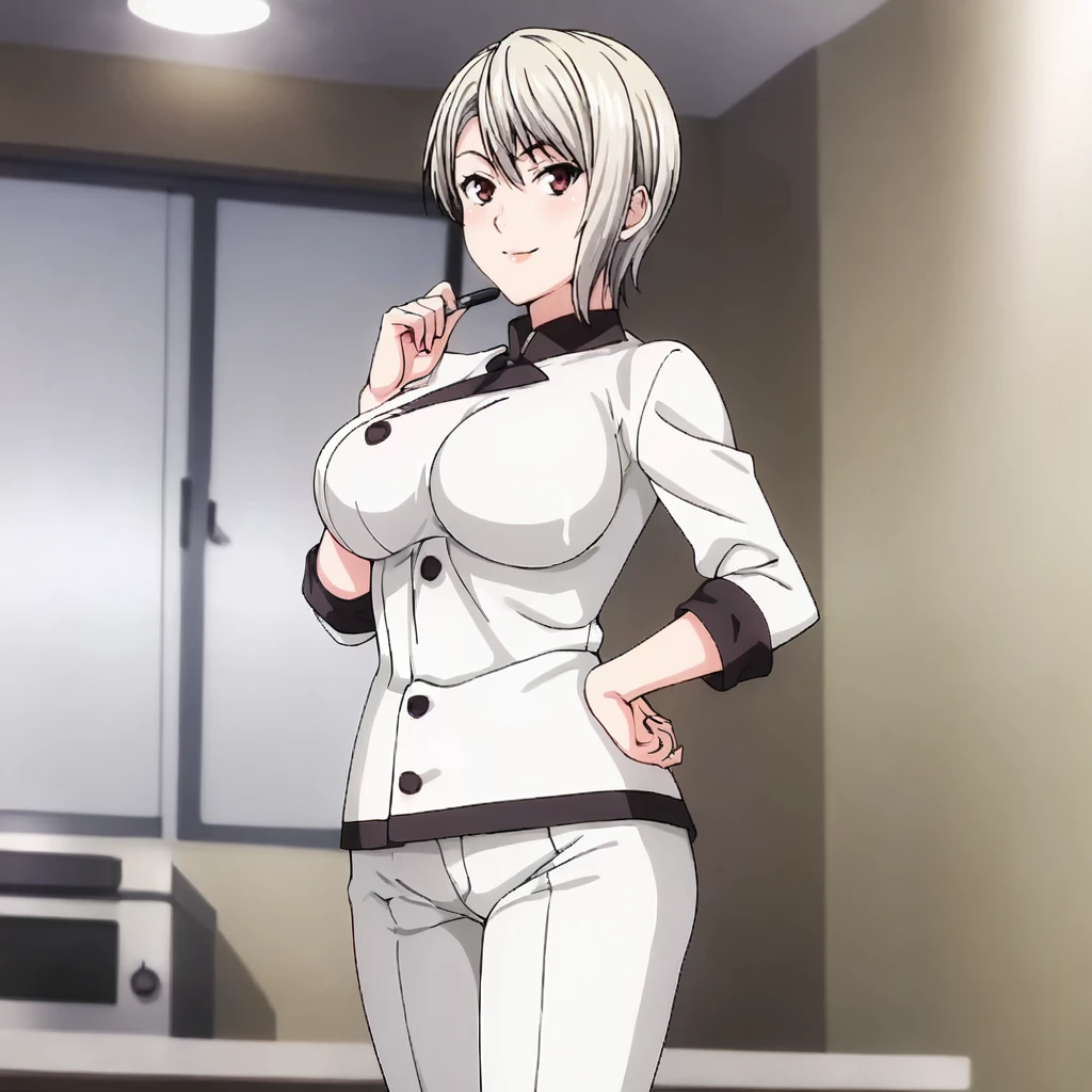 <lora:alicenakiri_pony_v1:.8>AliceNakiriChef, chef, 1girl, large breasts, short hair, white pants, cowboy shot