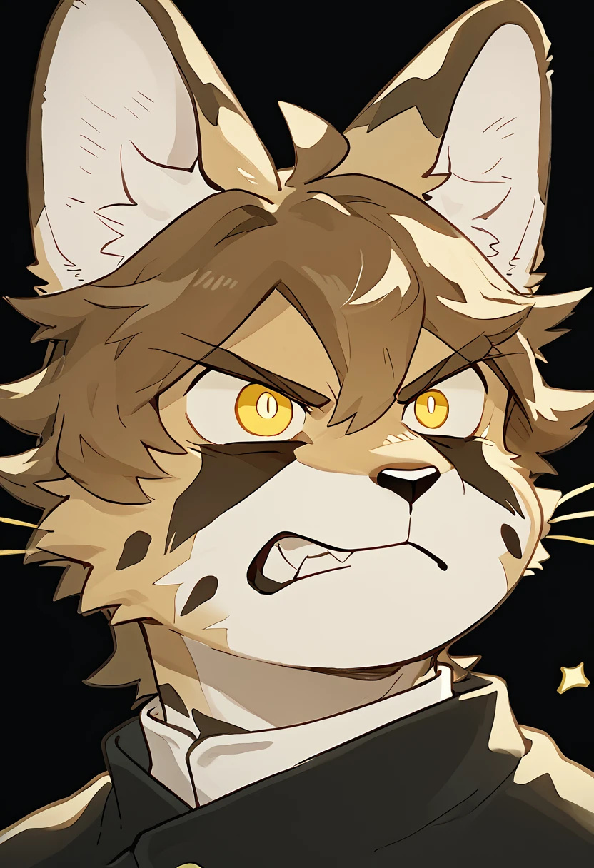 score_9, score_8_up, score_7_up, high quality, hires, solo, sc00ter, furry male, luxury_gin, brown hair, yellow eyes, short hair, animal ear fluff, sticker, chibi, black background, upper body, angry, <lora:Scooter_Leptailurus_serval_luxury_gin_OC:1>, <lora:add-detail-xl:2>