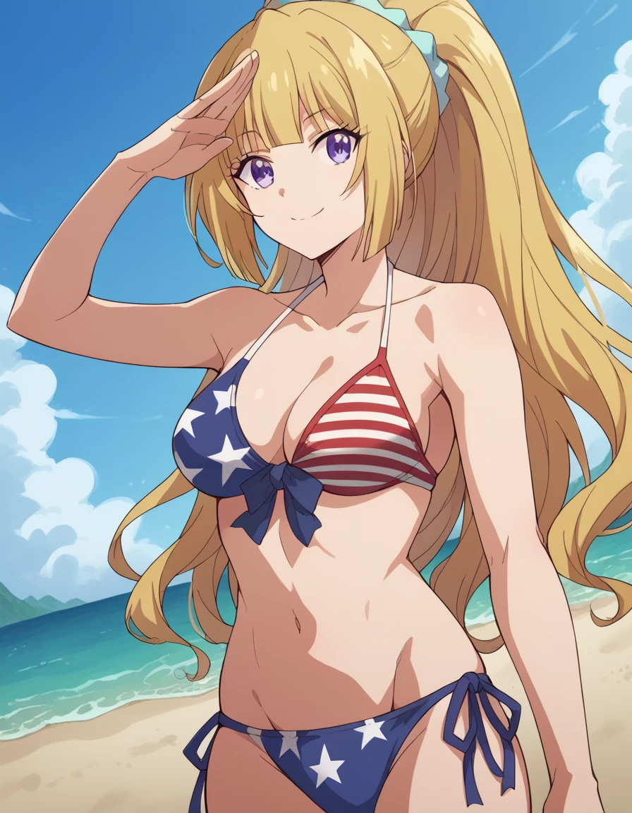 American Flag Bikini - Clothing booru