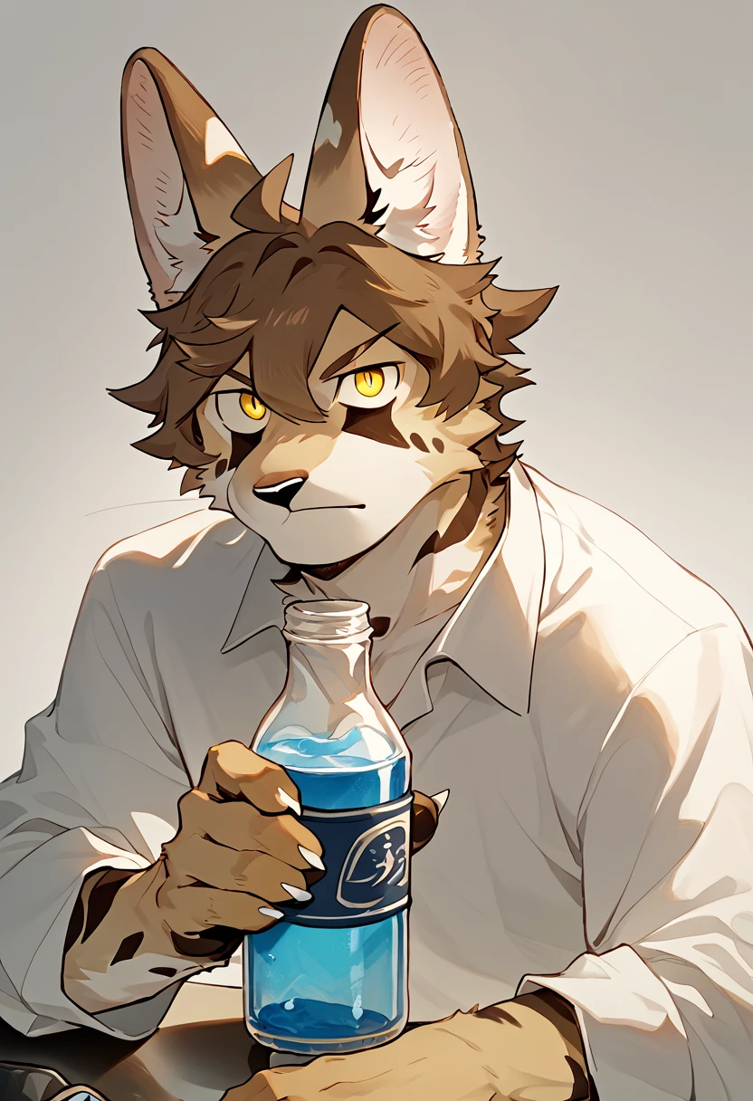 score_9, score_8_up, score_7_up, high quality, hires, solo, sc00ter, furry male, luxury_gin, brown hair, yellow eyes, short hair, animal ear fluff, blue drink, holding bottle, looking at viewer, <lora:Scooter_Leptailurus_serval_luxury_gin_OC:1>, <lora:add-detail-xl:2>