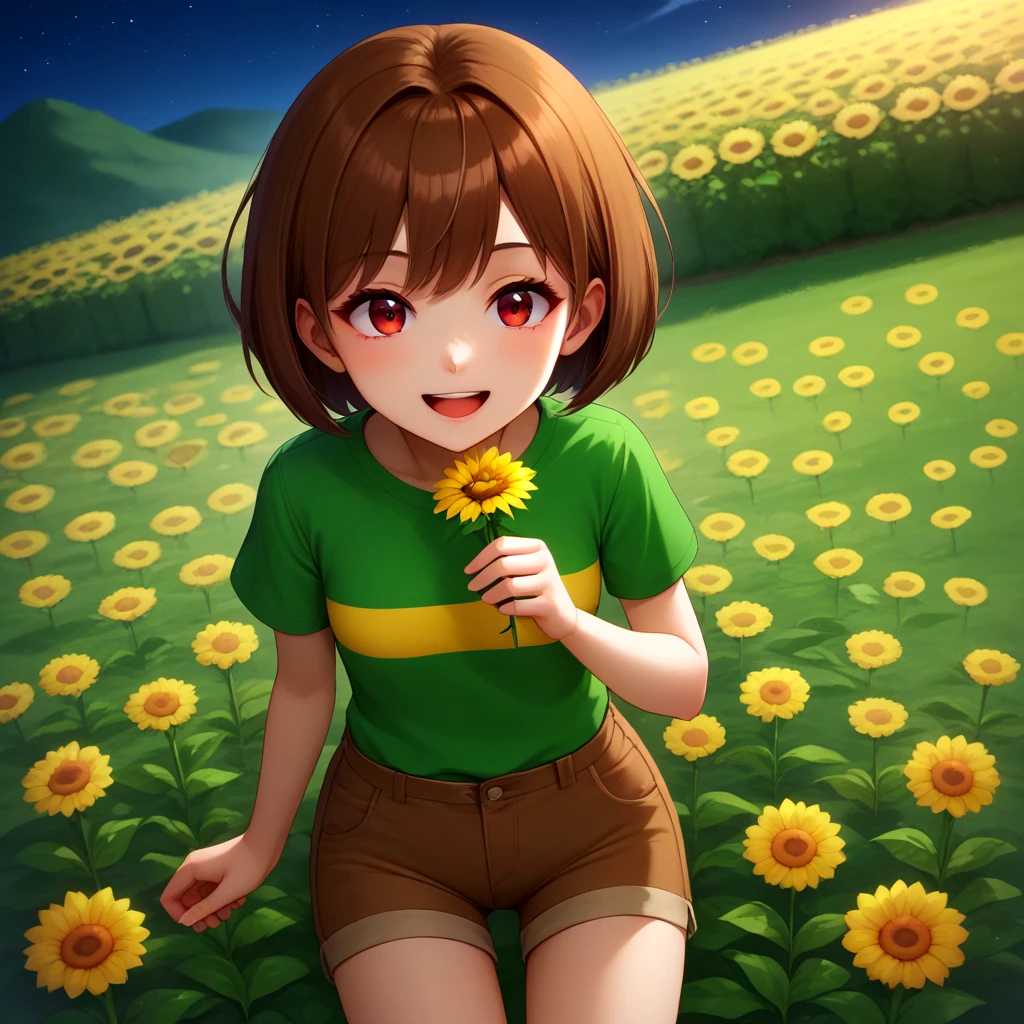 (yellow striped), 1girl, solo, green shirt, short sleeves, red eyes, brown hair, short hair, shorts, brown shorts, smile, happy, holding flower, sunflower,
<lora:STYL-Expressive_H-000001:0.1>, BREAK
score_9, score_8_up, score_7_up, outdoor, golden flower, yellow flower, from above, holding yellow flower, holding flower, flower field, garden flower, nighttime, night, beautiful sky,