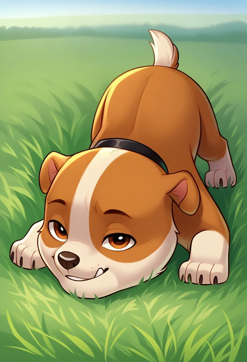 BREAK Score_9_up, Score_8_up, Score_7_up, source_anime, 1boy, solo, Rubble_Pp, brown fur, beige fur, brown eyes, brown spots, black collar, feral, grass, day,