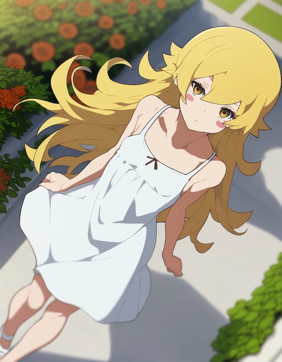 1girl , oshino shinobu, sundress, dutch angle, depth of field, wind, flat gaze, long hair, blonde hair, from above, garden, yellow eyes, blush stickers, 
 <lora:kakure_eria_style_pony6_v1-000038:.9>