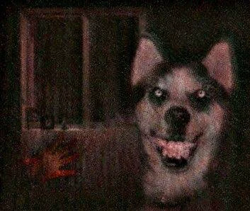 Smile-Dog v1.0