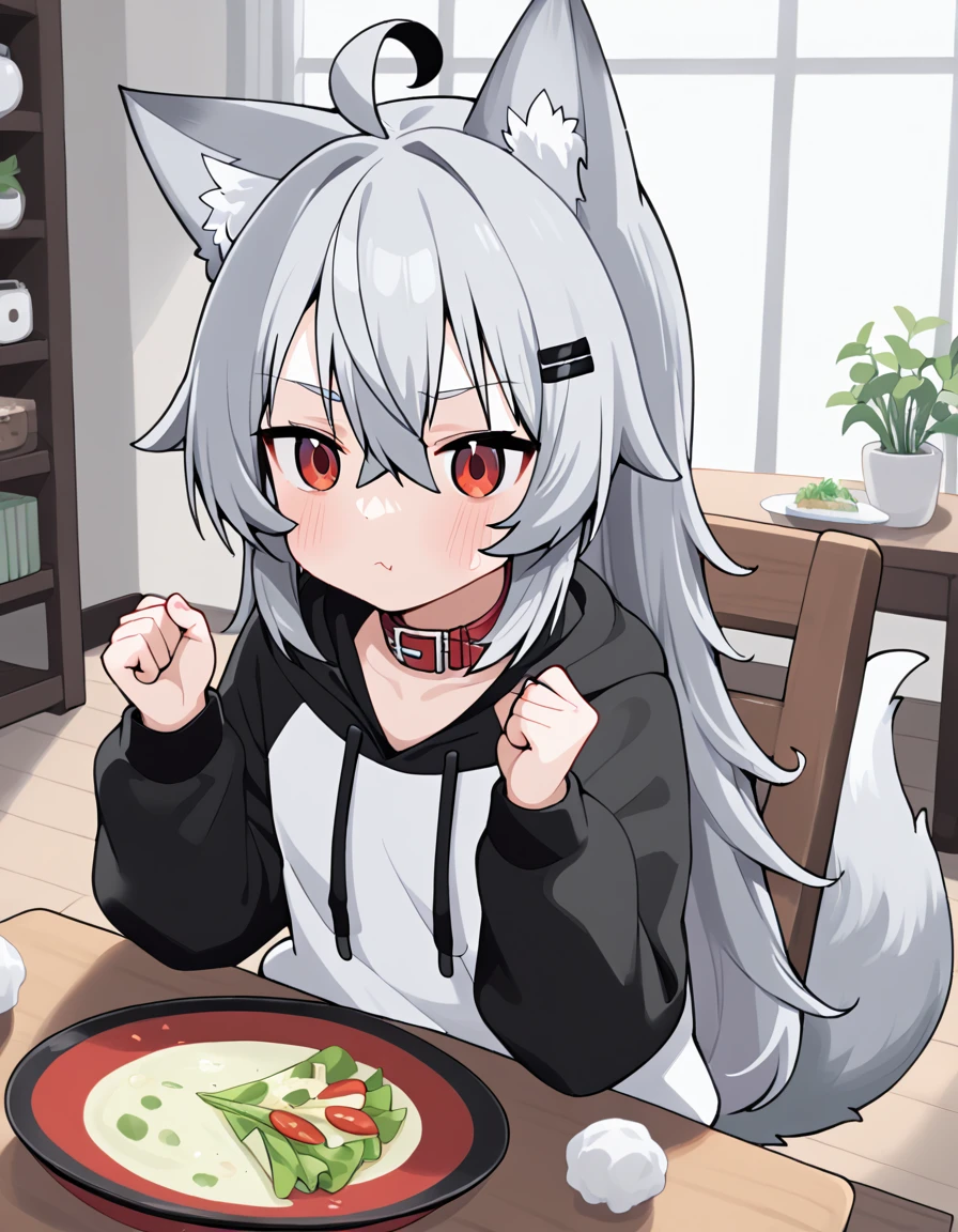 1girl, solo, ooriru, red eyes, hairclip, animal collar, two-tone hoodie, wolf tail, :<,  sitting, wood chair, hands up, clenched fists,  dining room, table, salad  <lora:ooriru-pdxl-v4:0.7>