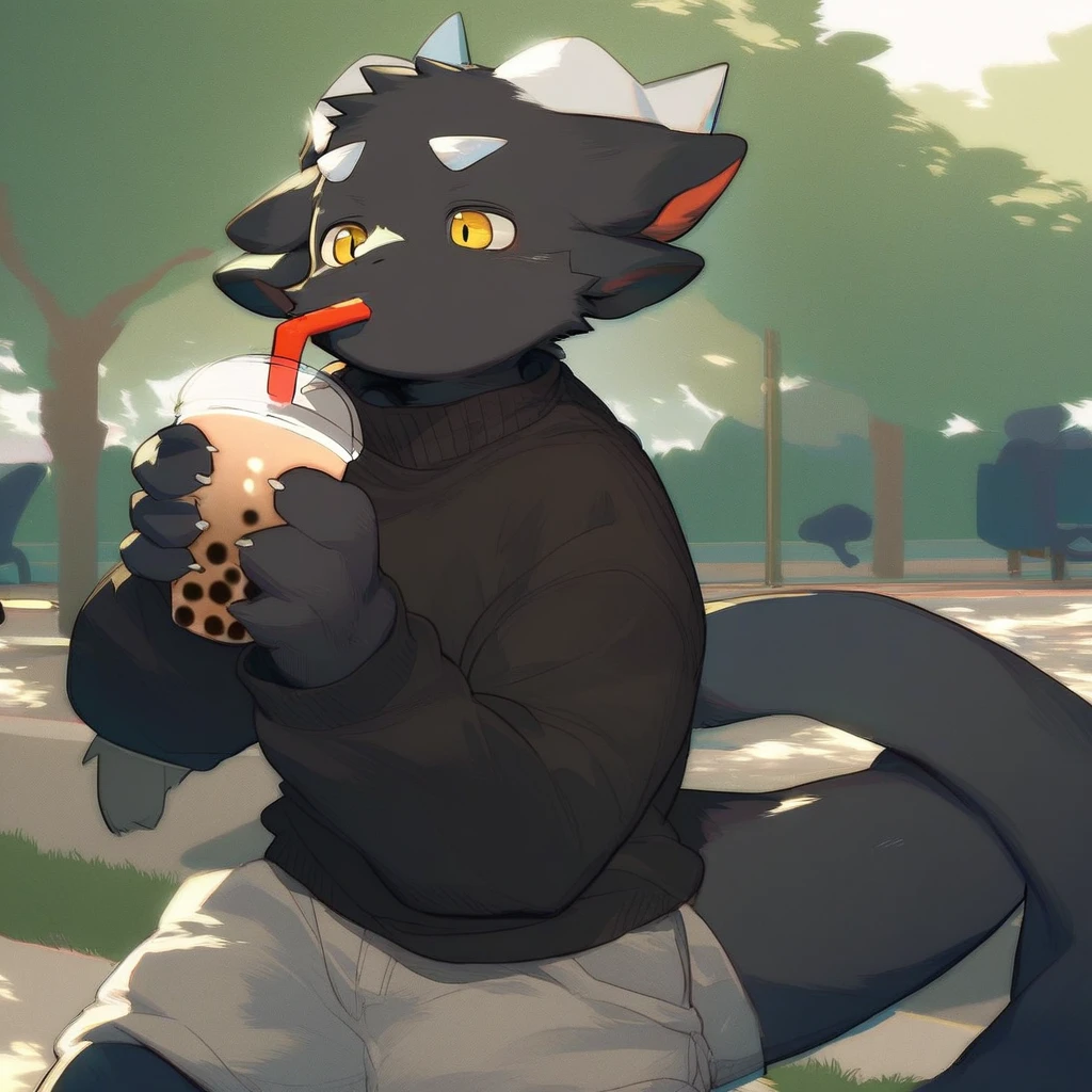 score_9_up, score_8_up, score_7_up, source_furry, mikus-milkytiger, black dragon, black body, white horns, yellow eyes, park, holding, bubble tea, black sweater, gray shorts, 1boy, solo