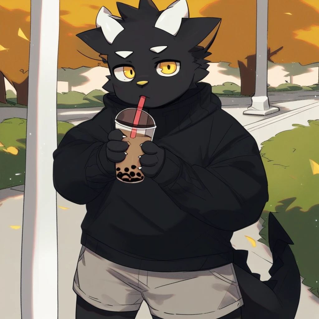 score_9_up, score_8_up, score_7_up, source_furry, mikus-monu__, black dragon, black body, white horns, yellow eyes, park, holding, bubble tea, black sweater, gray shorts, 1boy, solo