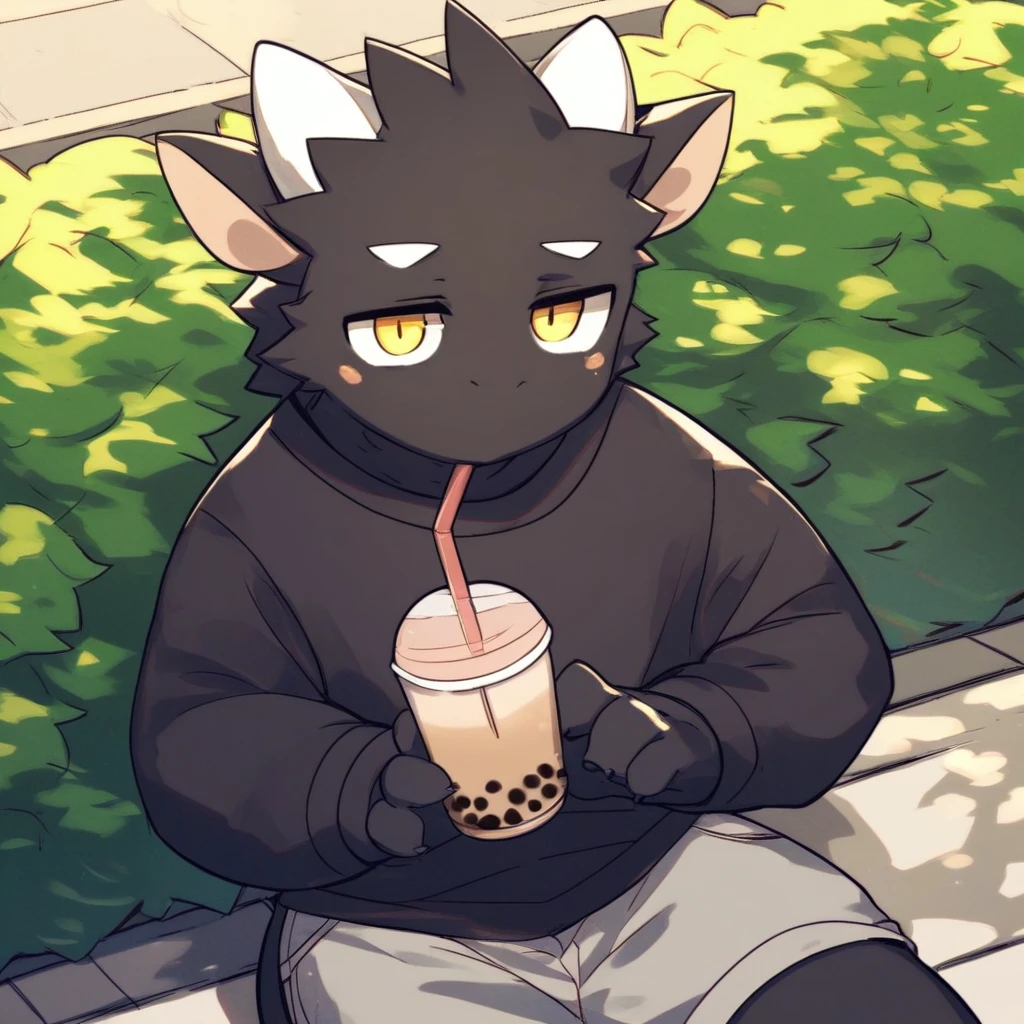 score_9_up, score_8_up, score_7_up, source_furry, mikus-monu__, black dragon, black body, white horns, yellow eyes, park, holding, bubble tea, black sweater, gray shorts, 1boy, solo