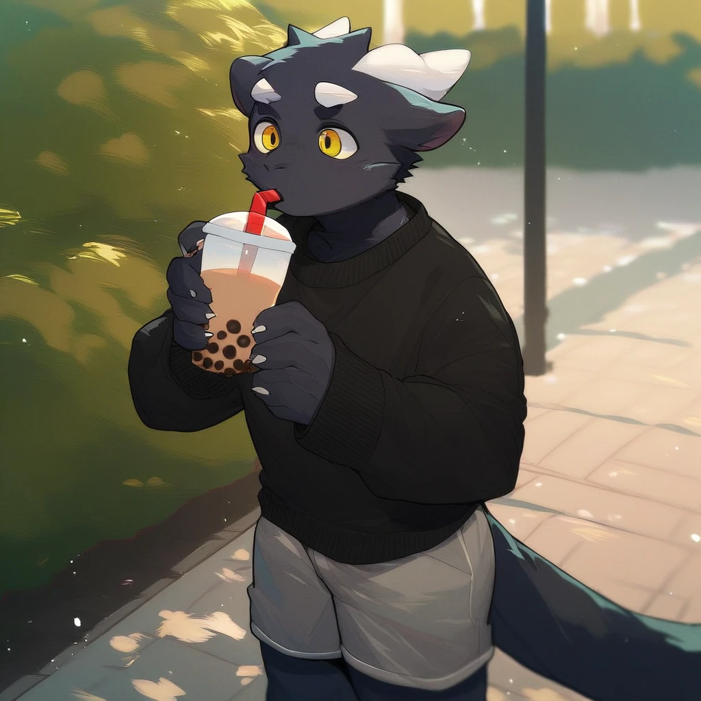 score_9_up, score_8_up, score_7_up, source_furry, mikus-milkytiger, black dragon, black body, white horns, yellow eyes, park, holding, bubble tea, black sweater, gray shorts, 1boy, solo