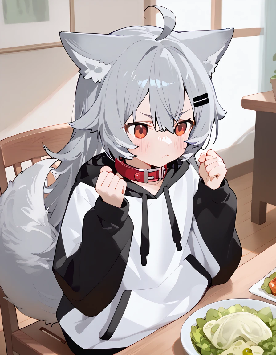 1girl, solo, ooriru, red eyes, hairclip, animal collar, two-tone hoodie, wolf tail, :<,  sitting, wood chair, hands up, clenched fists,  dining room, table, salad  <lora:ooriru-pdxl-v4:0.7>