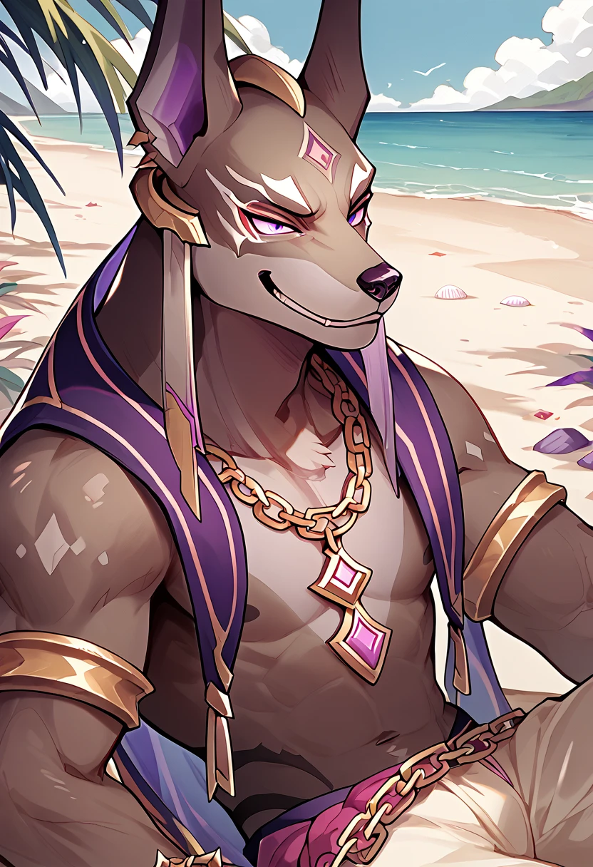 score_9, score_8_up, score_7_up, high quality, hires, furry, solo, jalam, anothereidosr, jackal ears, purple eyes, chain necklace, smug, legs out of frame, beach, <lora:Jalam_AnotherEidos_R:1>, <lora:add-detail-xl:2>