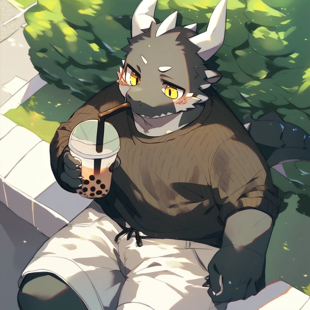 score_9_up, score_8_up, score_7_up, source_furry, mikus-style, black dragon, black body, white horns, yellow eyes, park, holding, bubble tea, black sweater, gray shorts, 1boy, solo