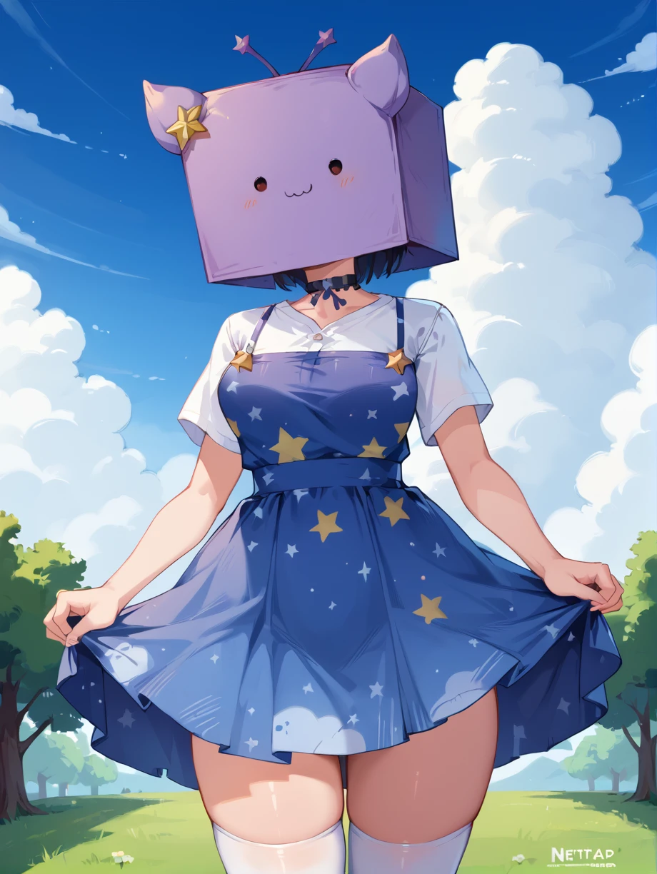 score_9, score_8_up, score_7_up, rating_explicit, zPDXL2, zPDXLxxx, zPDXL3, source_anime,
<lora:Nimu:1>, Nimu, 1girl, solo, choker, purple star (symbol), shirt, dress, shirt under dress, white shirt, sky print, cloud print, star print, white thighhighs, box on head, box,