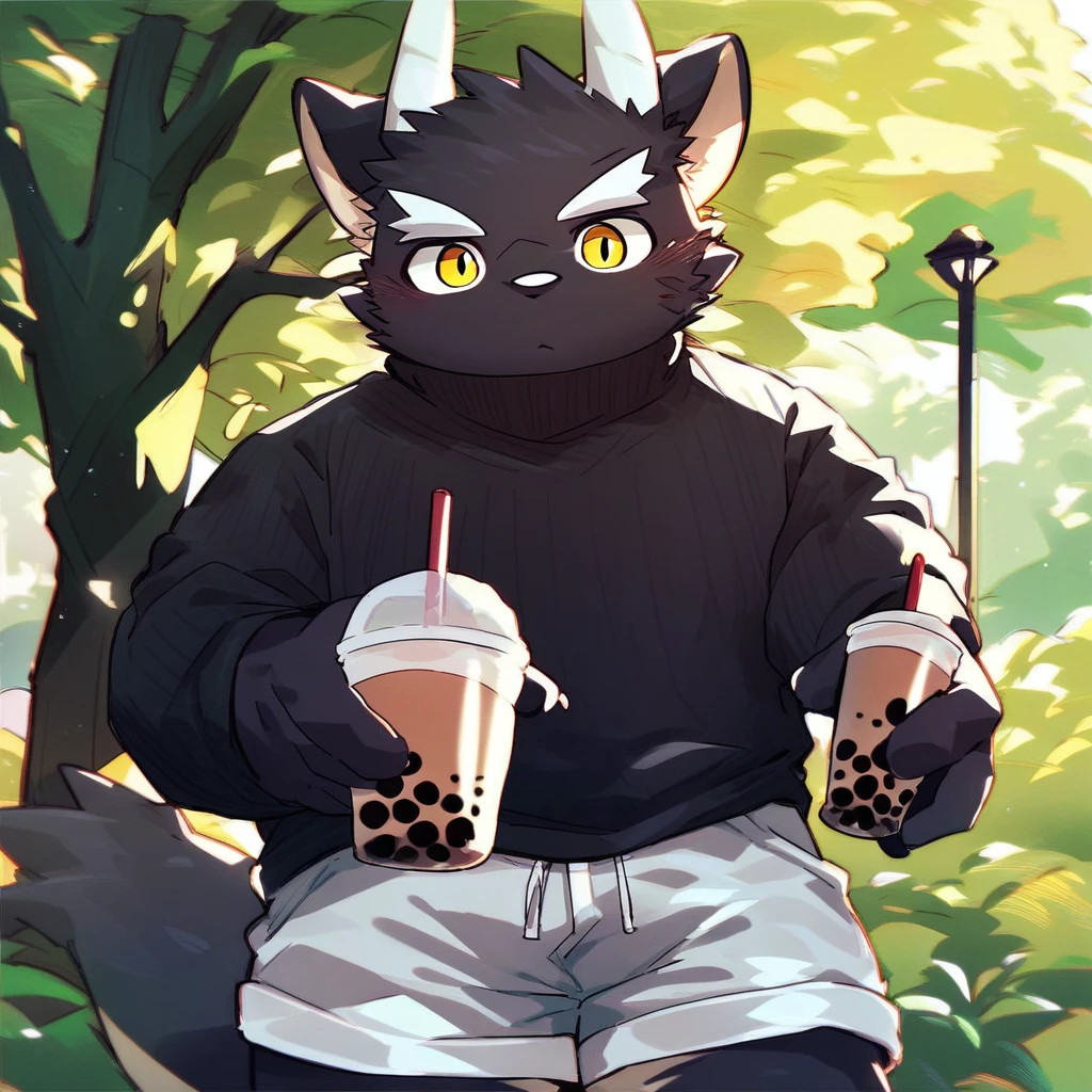 score_9_up, score_8_up, score_7_up, source_furry, mikus-style, black dragon, black body, white horns, yellow eyes, park, holding, bubble tea, black sweater, gray shorts, 1boy, solo