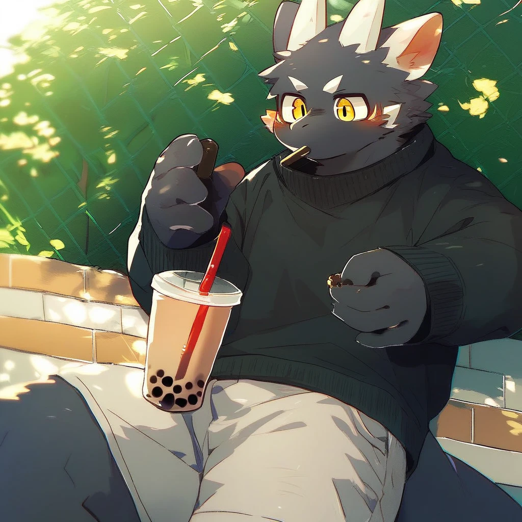 score_9_up, score_8_up, score_7_up, source_furry, mikus-style, black dragon, black body, white horns, yellow eyes, park, holding, bubble tea, black sweater, gray shorts, 1boy, solo