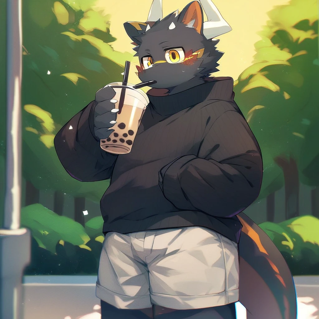 score_9_up, score_8_up, score_7_up, source_furry, mikus-style, black dragon, black body, white horns, yellow eyes, park, holding, bubble tea, black sweater, gray shorts, 1boy, solo