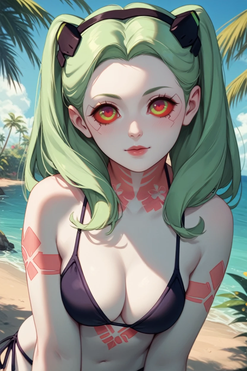 score_9, score_8_up, score_7_up, score_6_up
<lora:ERRebecca:0.8>
ERRebecca, 1girl, green hair, twin tails, red pupils, colored sclera, white skin, red tattoo, looking at viewer, on a tropical island, bikini, palm trees, ocean
