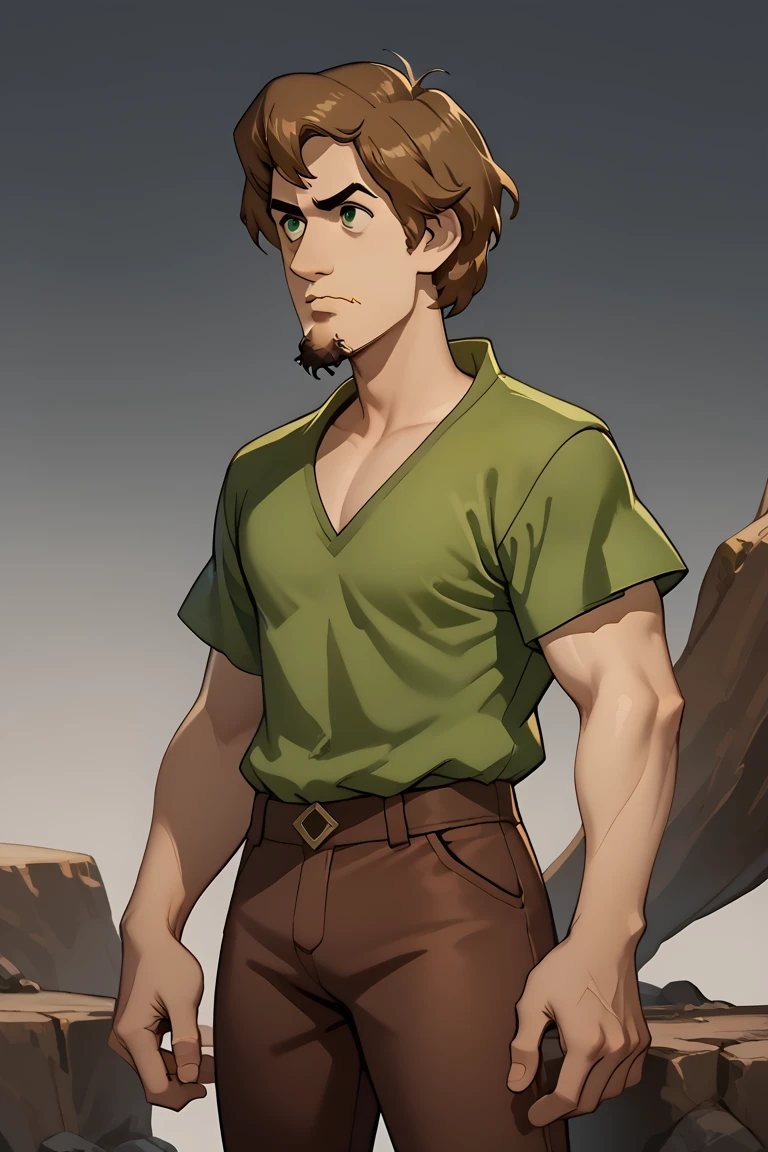 score_9, score_8_up, score_7_up, ShaggyRoggers, 1boy, goatee, brown hair, brown pants, green shirt, standing