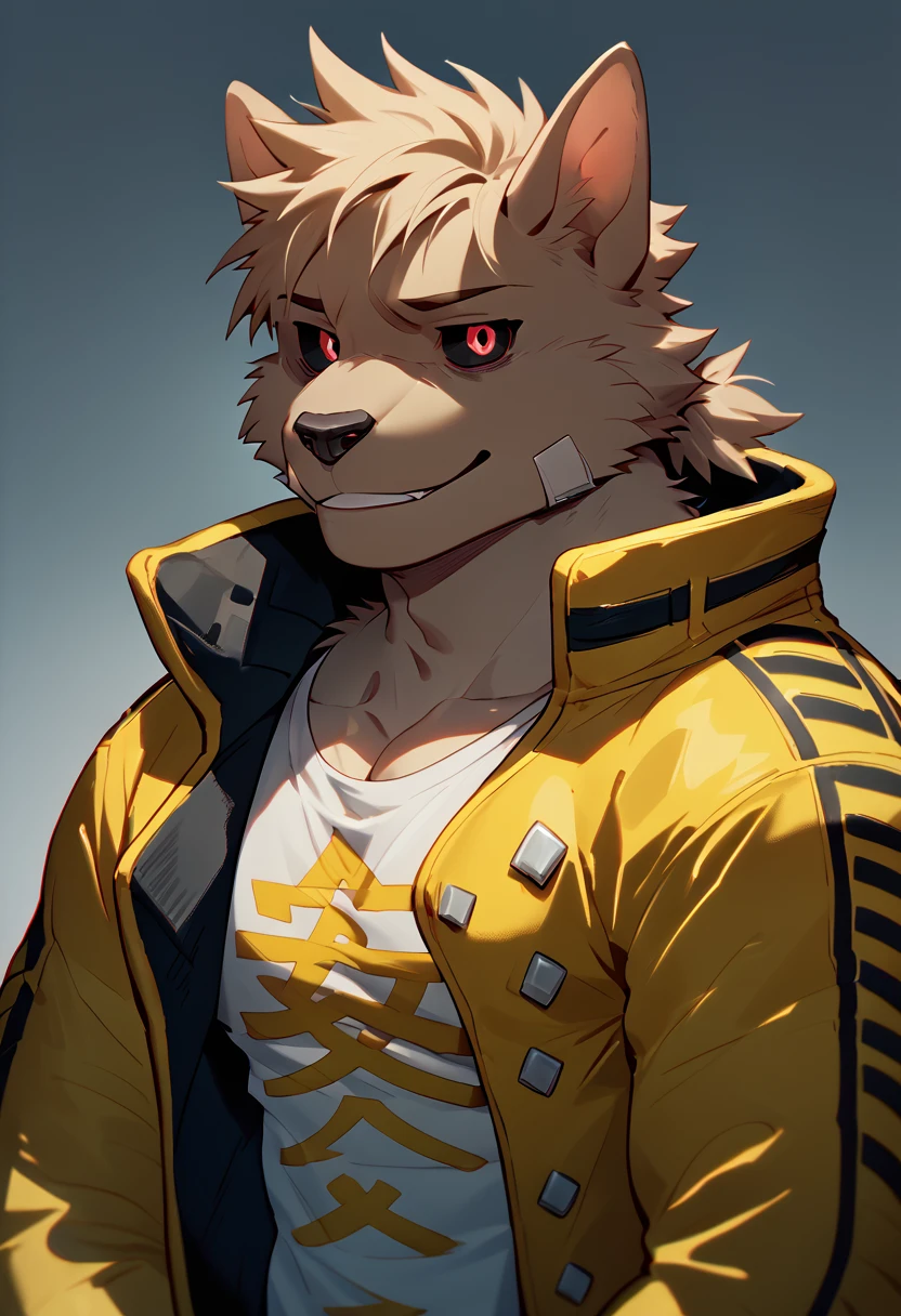 score_9, score_8_up, score_7_up, high quality, hires, 4K, solo, pr0t4g0n1st, dog_x_bloods, furry, black sclera, red eyes, scary smile, short hair, jacket, muscular, pectorals, looking at viewer, <lora:Protagonist_DOG_X_BLOODS:1>