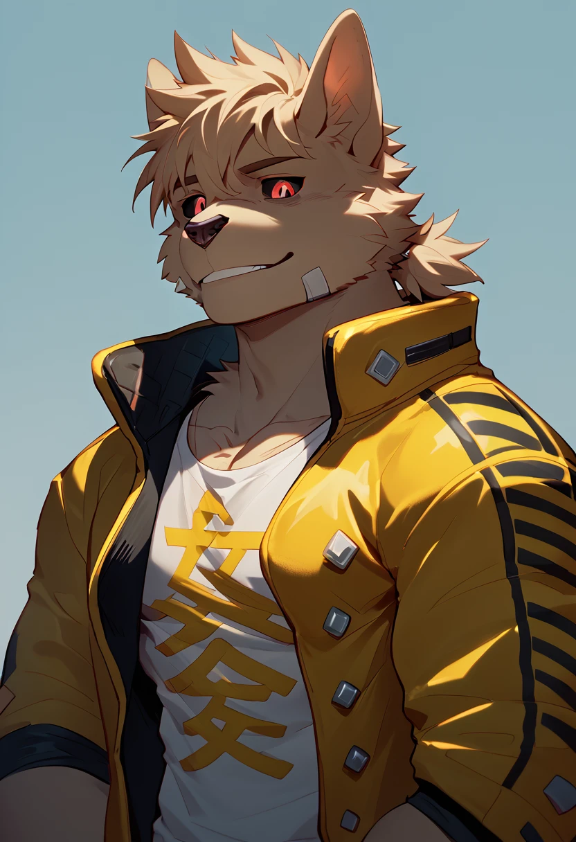 score_9, score_8_up, score_7_up, high quality, hires, 4K, solo, pr0t4g0n1st, dog_x_bloods, furry, black sclera, red eyes, sadistic smile, short hair, jacket, muscular, pectorals, looking at viewer, <lora:Protagonist_DOG_X_BLOODS:1>