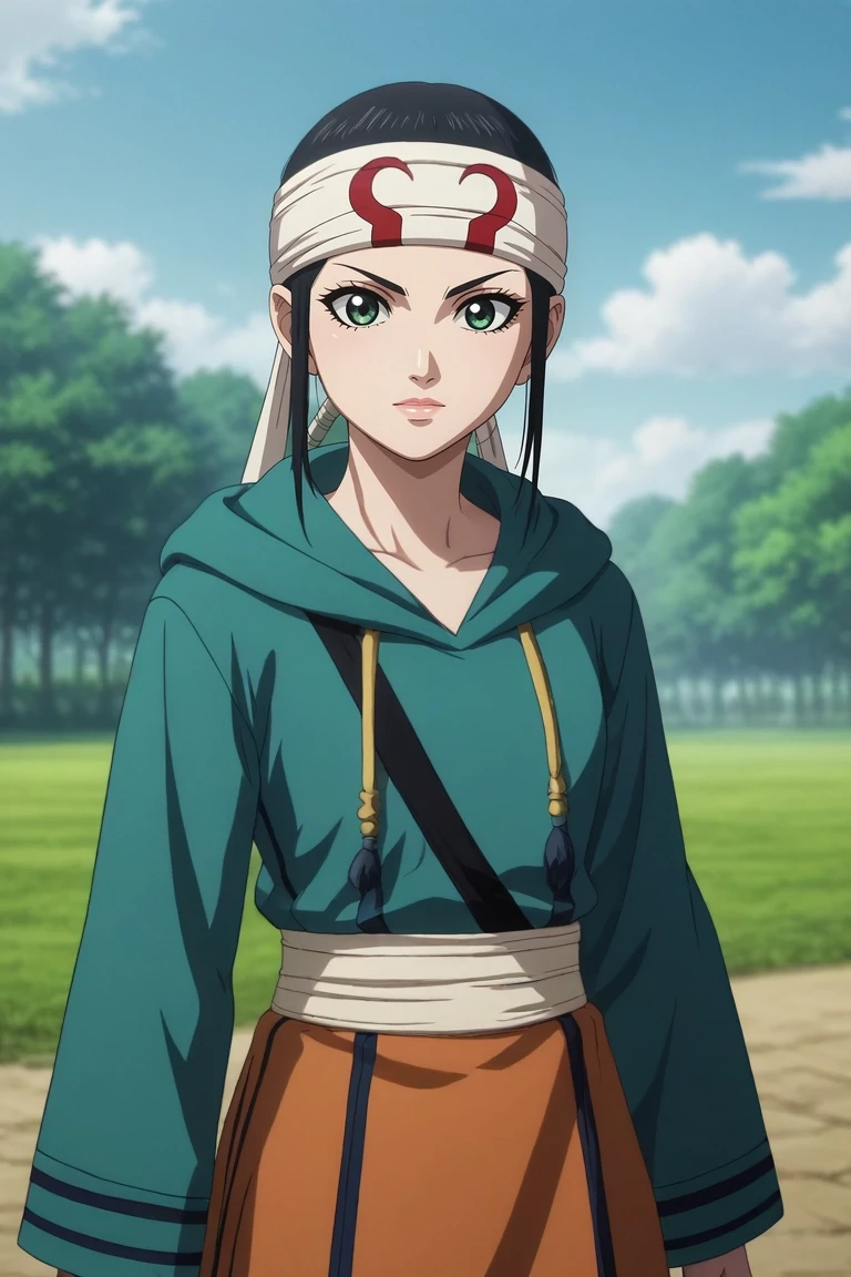 score_9, score_8_up, score_7_up, , rating_safe, intricate details, anime screencap, , official style, looking at viewer, depth of field, 1girl, solo, <lora:qiang_lei_pony:0.86>, qiang_lei, black hair, green eyes, long hair, , headband, sword, , , indigo hoodie, long skirt, <lora:sdxl_lightning_8step_lora:1>