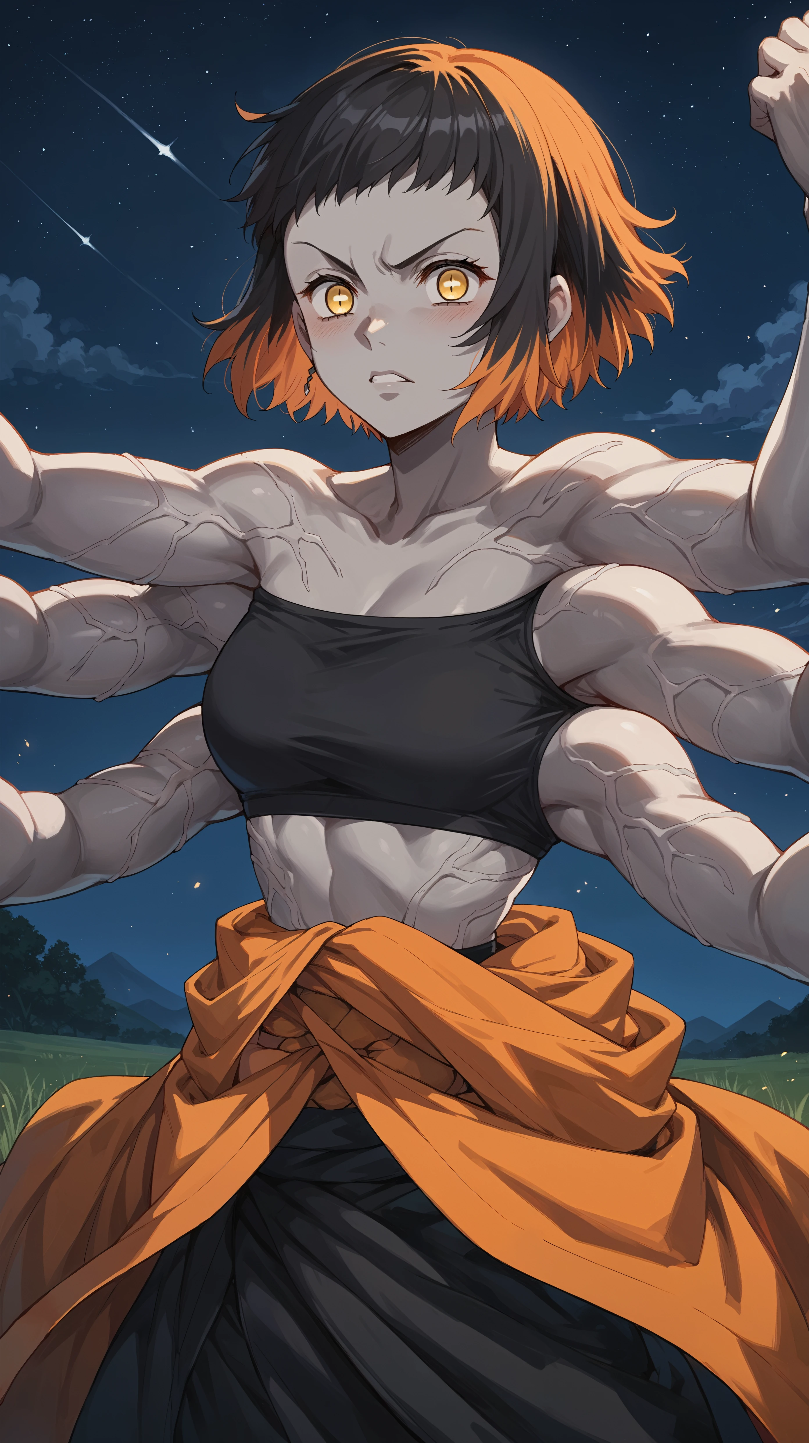 score_9,score_8_up,score_7_up,score_6_up, source_anime, zPDXL3, <lora:xl_more_art-full_v1:0.5>, girl, dynamic pose, (fighting stance), <lora:Susamaru - Pony-000004:0.8>, pale skin, gray skin, short hair, black hair, orange hair, multicolored hair, two-tone hair, yellow eyes, black sports bra, bare arms, ((((multiple arms, extra arms)))), clothes around waist, open field, night time, night sky, moonlight,