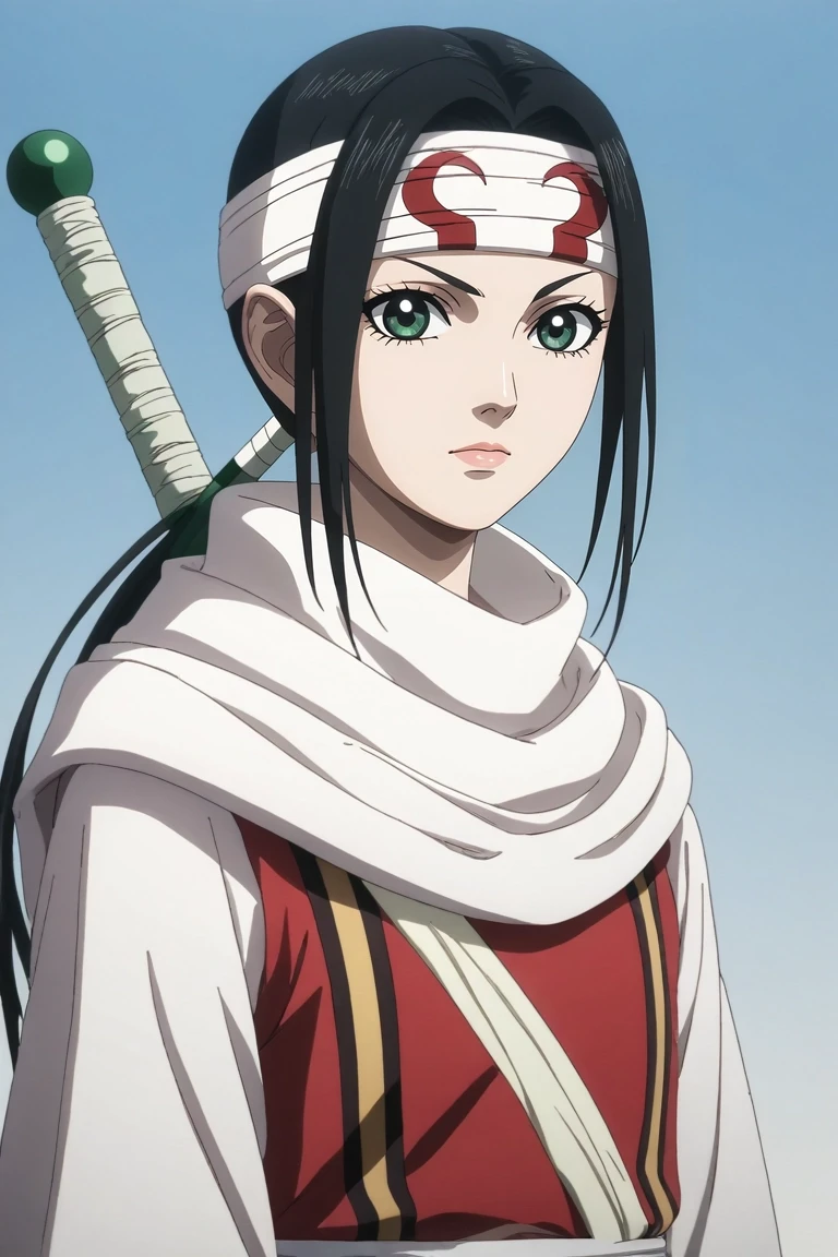 score_9, score_8_up, score_7_up, source_anime, rating_safe, intricate details, (3d:0.4), looking at viewer, , 1girl, solo, <lora:qiang_lei_pony:0.96>, qiang_lei, black hair, green eyes, long hair, low ponytail, headband, sword, , , two-tone dress, <lora:sdxl_lightning_8step_lora:1>