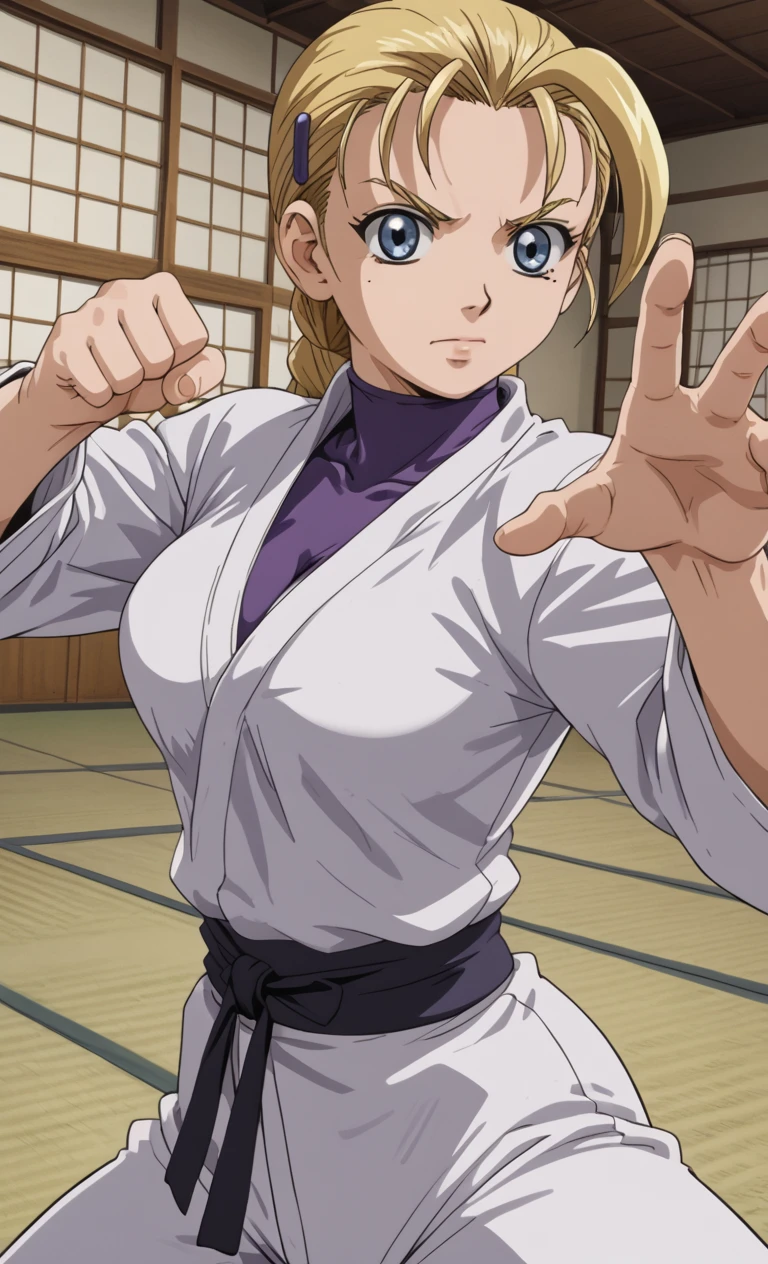 m1ufur1nj1, 1girl,anime,score_9,score_8_up,score_7_up,blue eyes,
Blonde woman in open karate clothing with tight purple polo shirt with high neck and no sleeves visible underneath, black karate belt, in an attack pose,,ð face,
<lora:m1ufur1nj1:0.8>