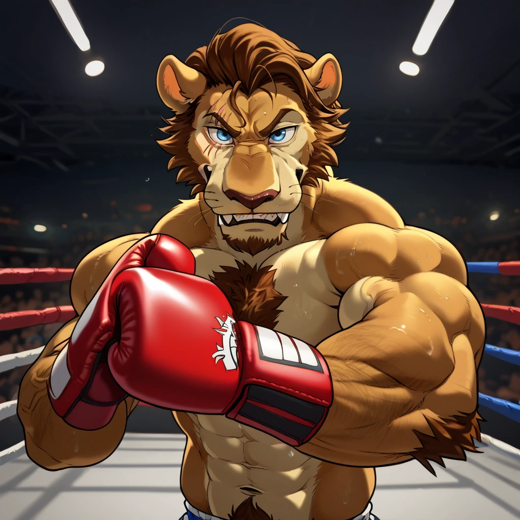 zPDXL3,  source_furry, <lora:POV_Boxing_3:1.1> pov_boxing, ((punching_the_viewer, motion_blur, punching)), boxing gloves,  fighting ring, dynamic perspective, foreshortening, shallow depth of field, beating the viewer in a boxing match, vignette border, reaching towards viewer, 
BREAK
Free The Indian Lion_(Beastars), by darkgem, by kihu, 1boy, solo, furry male, brown hair, blue eyes, scar, cute, anthro, furry, lion, cute face, looking at viewer, muscular man, (large pectorals), huge biceps, bara, shirtless, chest hair, arm hair, facial hair, strong jaw, manly, daddy, masculine face, handsome, thick eyebrows, smug, grin,, abs, upper body focus, sweaty, arm veins, <lora:Expressive_H:1> <lora:Kihu_Style_Lora:0.5>  <lora:Darkgem_Style_Lora:0.5> <lora:Free_The_Lion_Beastars_PDXL:0.6> <lora:detailed_notrigger:1>