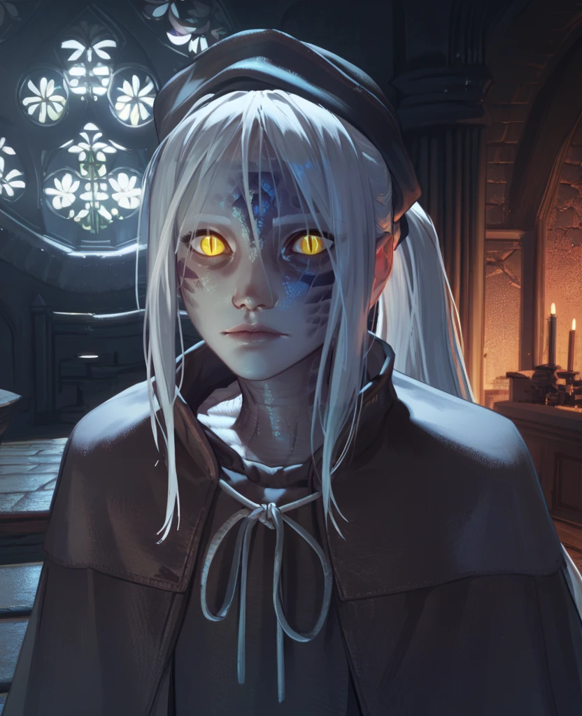 score_9,score_8_up,score_7_up,score_6_up,
thepnterxl,facial mark,yellow eyes,slit pupils,scales,white hair,ponytail,
hat,dress,capelet,sitting,looking at viewer,upper body,
indoors,castle,night,
<lora:thepainterXL:0.8>,