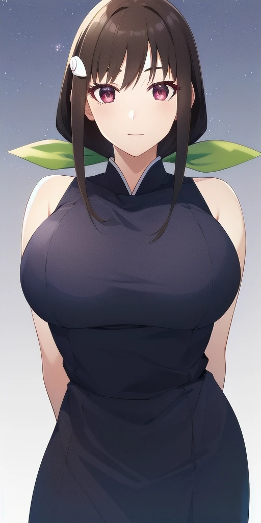 <lora:mayoi_hachikujiV2:0.7> mayoi_hachikuji_low_ponytail, huge_breasts, standing, solo, arms_behind_back, starry_sky,  pencil_dress, green_hair_ribbon, hairclip, masterpiece, best_quality, detailed_face, detailed_eyes, highres, beautiful, detailed, absurdres,