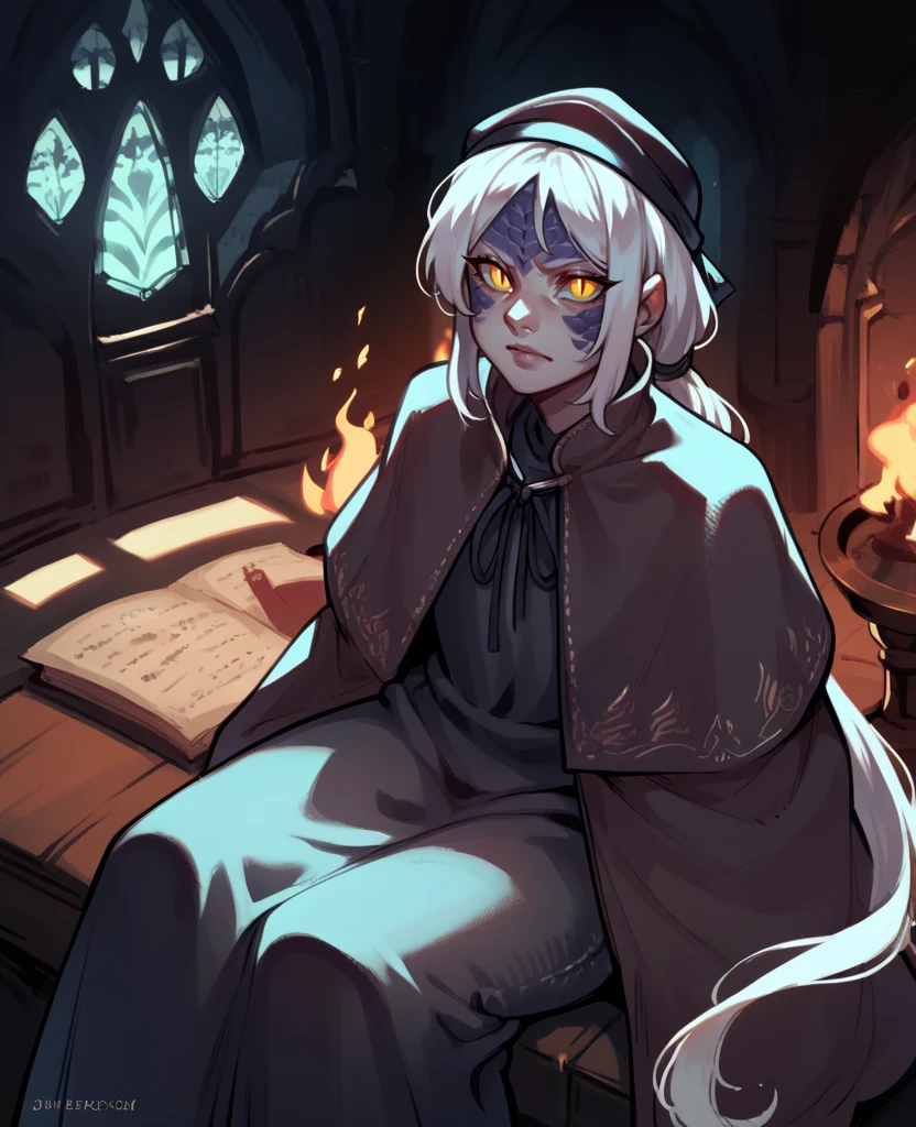 score_9,score_8_up,score_7_up,score_6_up,
thepnterxl,facial mark,yellow eyes,slit pupils,scales,white hair,ponytail,
hat,dress,capelet,sitting,looking at viewer,
indoors,castle,night,flames,
<lora:thepainterXL:0.8>,