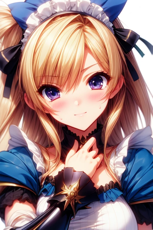 MaidKngiht Concept v2.0