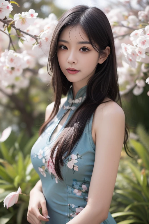 ltra-detailed,highly detailed,best quality,masterpiece,illustration, drawing, realistic, photorealistic,
qipao, 1girl, solo, 
chinese clothes, china dress, blue dress, 
long hair, bangs, 
looking at viewer, upper body, 
outdoors, nature, grass, cherry blossoms, wind, falling petals, 
 <lora:qipao_v3_06:0.8>