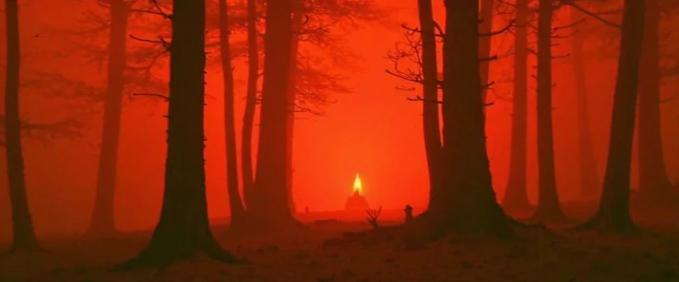 The image captures a scene of a forest at night where the trees are illuminated by a red light. The trees appearing as silhouettes are arranged in a way that creates a sense of depth and perspective. The background is shrouded in darkness which further emphasizes the red light shining from the center of the image. This light source possibly a campfire or a lantern adds a mysterious and eerie atmosphere to the scene. The image is taken from a distance.
M4nDy style