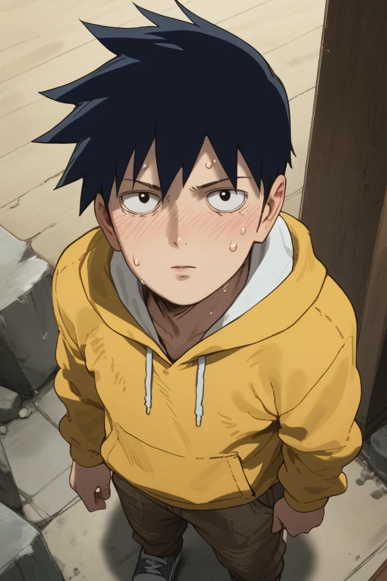 score_9,score_8_up, score_7_up, score_6_up,
ritsu kageyama, black hair, black eyes, official style, 1boy, male focus, solo, anime coloring, looking up, from above, hoodie, hood, looking at viewer, sweat