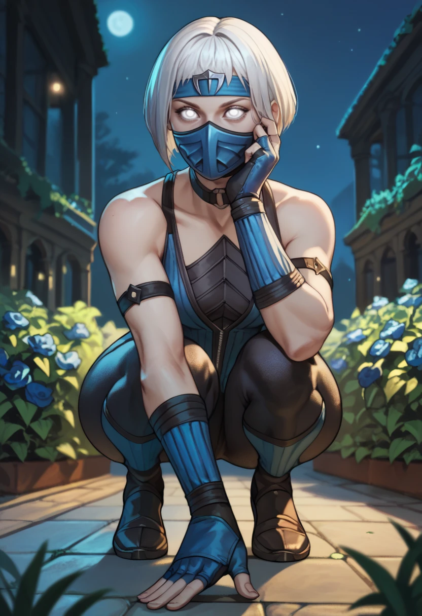 score_9,score_8_up,score_7_up,score_6_up,
khmlnxl,white eyes,white hair,bob cut,
mouth mask,
blue and black bodysuit,blue headband,bare shoulders,blue fingerless gloves,choker,
hips,
outdoor,night,garden,fantasy,
solo,
squatting,
<lora:KhameleonXL:0.8>,